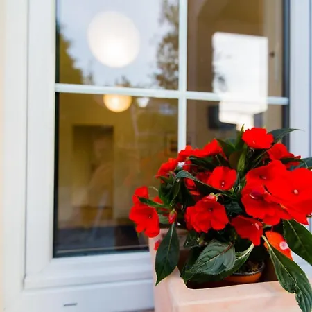 Villa Mielno פארק נופש *