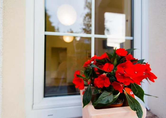 Villa Mielno Parque de vacaciones *